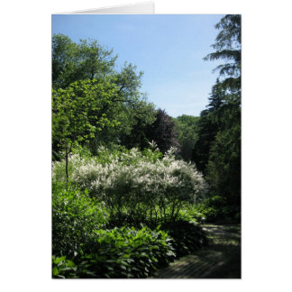Blank_White Lane