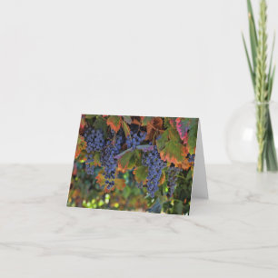 Blank Wine Note Cards