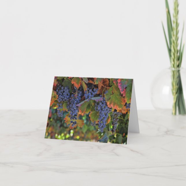 Blank Wine Note Cards (Front)