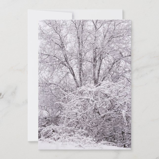 Blank Winter Scene Holiday Card (Front)
