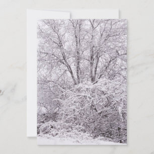 Blank Winter Scene Holiday Card