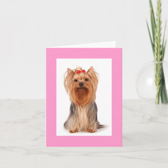 Blank Yorkshire Terrier Puppy Dog Notecard (Front)