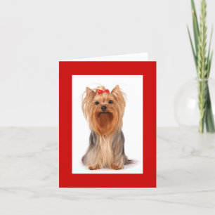 Blank Yorkshire Terrier Puppy Dog Notecard