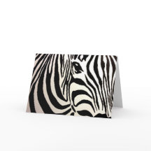 Blank Zebra Greeting Card