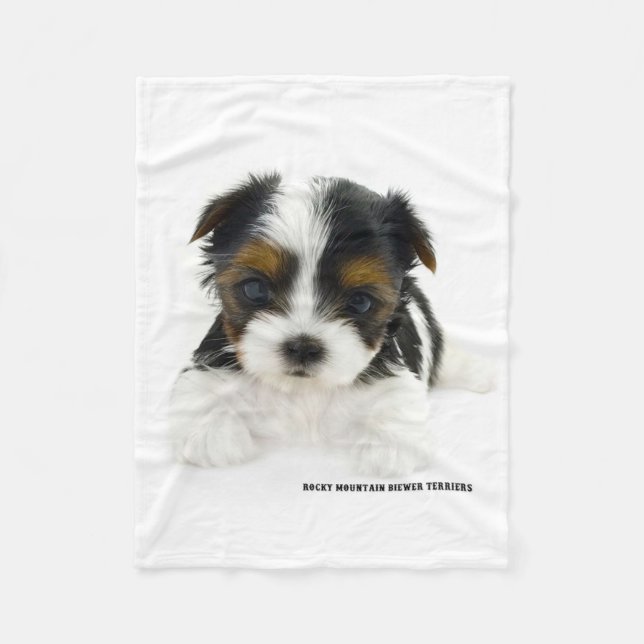 Blanket - Biewer Terrier Puppy (Front)