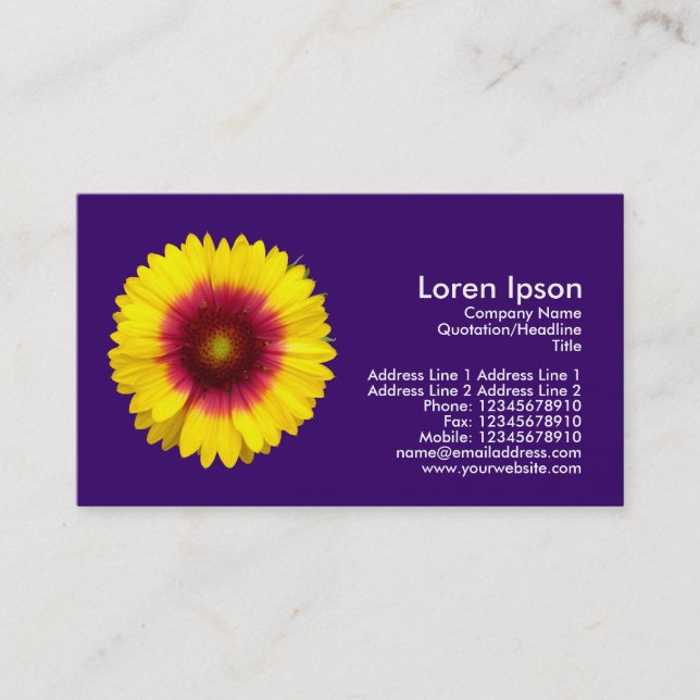 Blanket Flower - Dark Violet Business Card (Front)