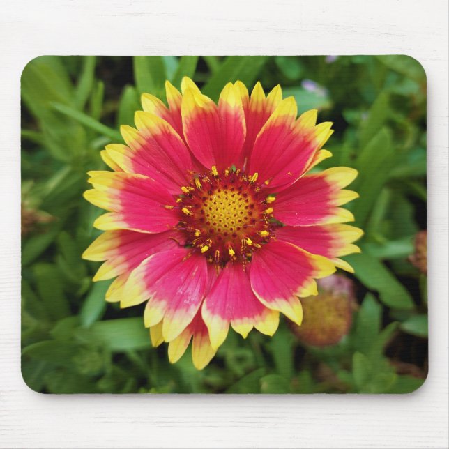 Blanket Flower Mouse Mat (Front)