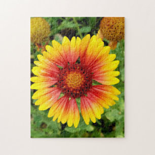 Blanket Flower Puzzle