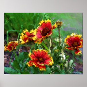 Blanket Flowers Gaillardia Watercolor Poster
