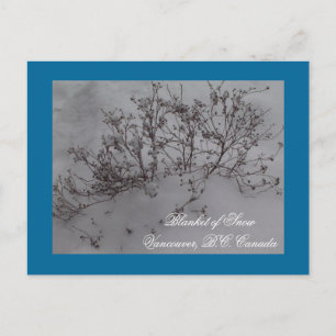 Blanket of Snow in Vancouver Postcard