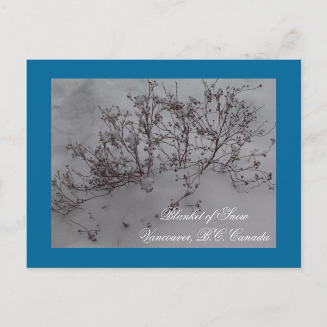Blanket of Snow in Vancouver Postcard (Front)