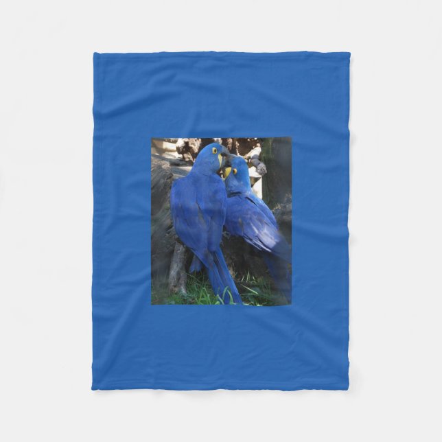 blanket _ parrots (Front)