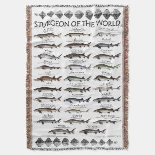 BLANKET -STURGEON OF THE WORLD POSTER -FIRST EVER 