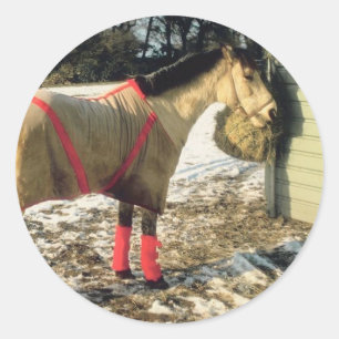Blanketed Horse in Winter Classic Round Sticker