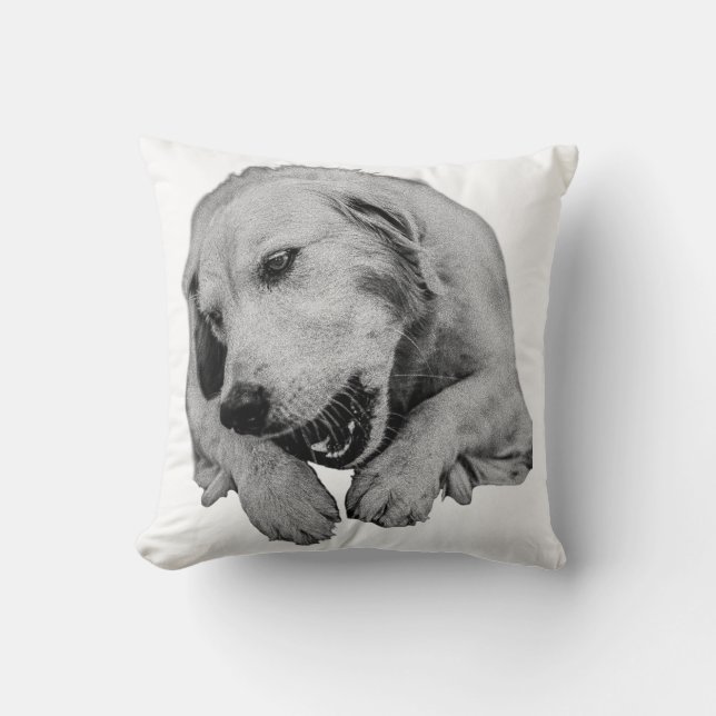 Blankets, Chews And Evening Lights Cushion (Front)