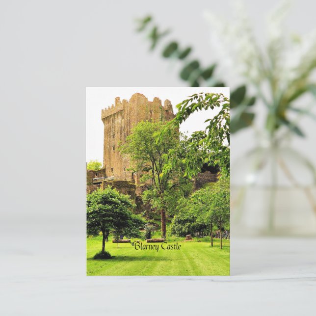 Blarney Castle, Ireland Postcard (Standing Front)