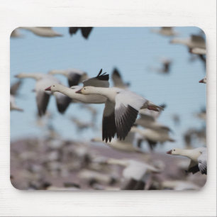 Blast Off In The Socorro Skies Mouse Mat