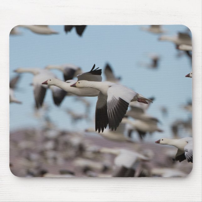 Blast Off In The Socorro Skies Mouse Mat (Front)