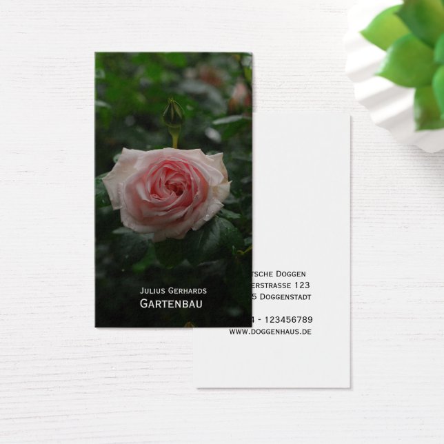 Blau und frei (Desk)