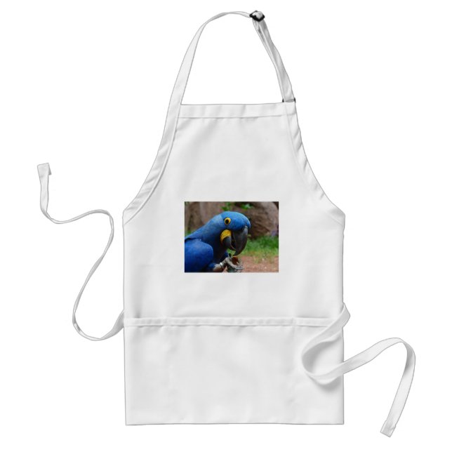 blauaras parrot standard apron (Front)
