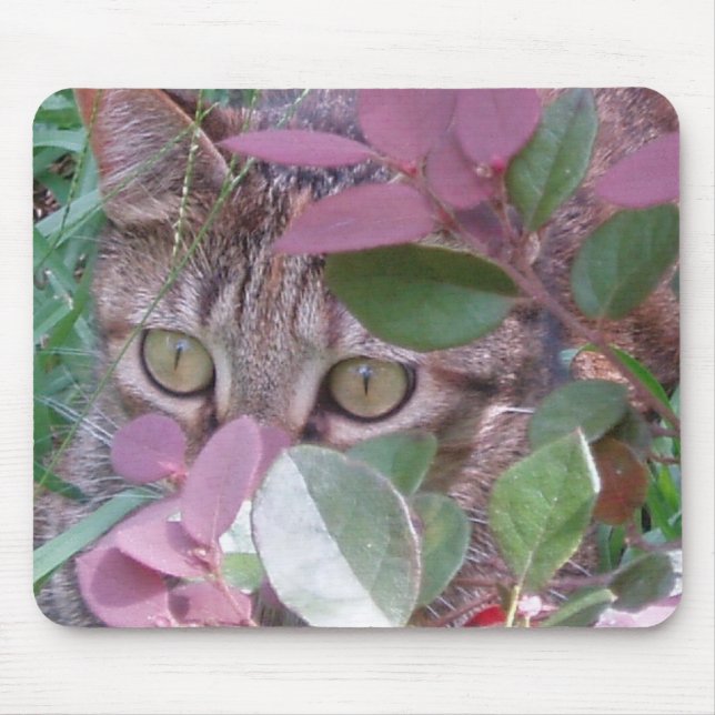 Blaze Cat Eyes Mousepad (Front)