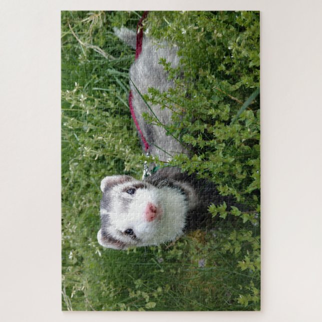 Blaze Ferret Puzzle (Vertical)
