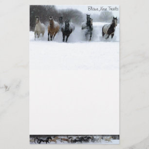 Blaze New Trails Horse Stationary Stationery