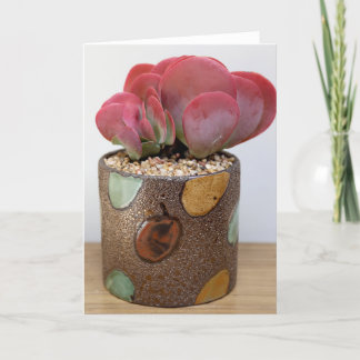 Blaze of Red-Orange Notecard - Succulent Designs