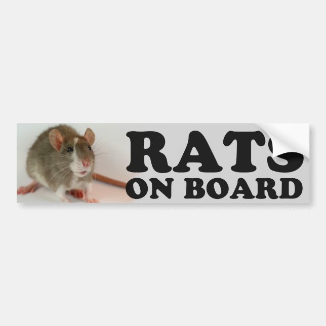 (Blazed) Rats on Board Bumper Sticker (Front)