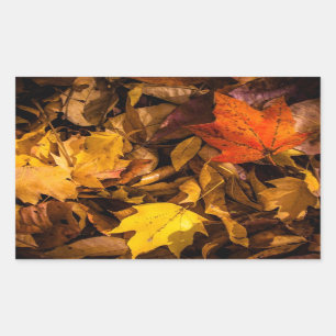 Blazing Autumn Leaves Rectangular Sticker
