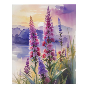 Blazing Star Beauty Poster