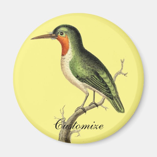 Blazing Sun Thunder_Cove Magnet (Front)