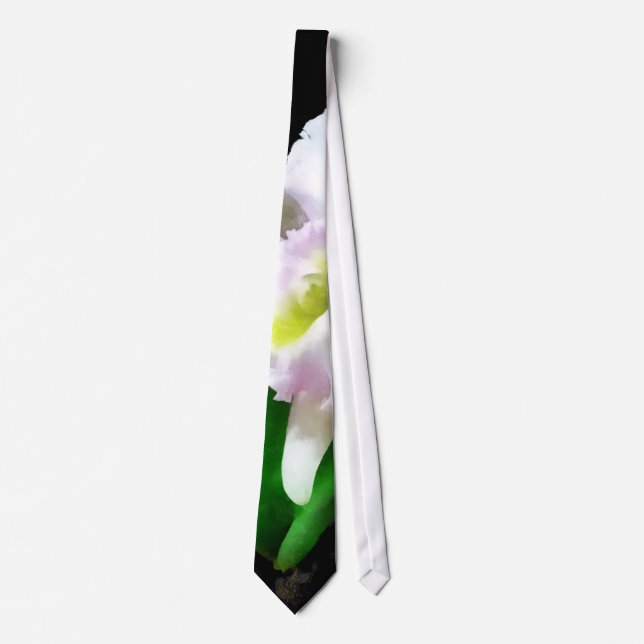 BLC Mary Ellen Underwood Krull-Smith Tie (Front)