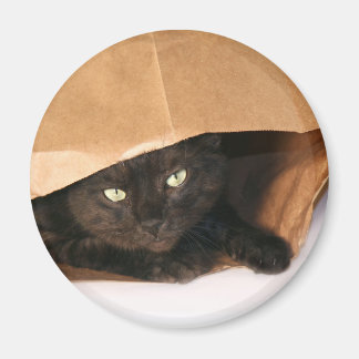 Blck cat in a bag magnet
