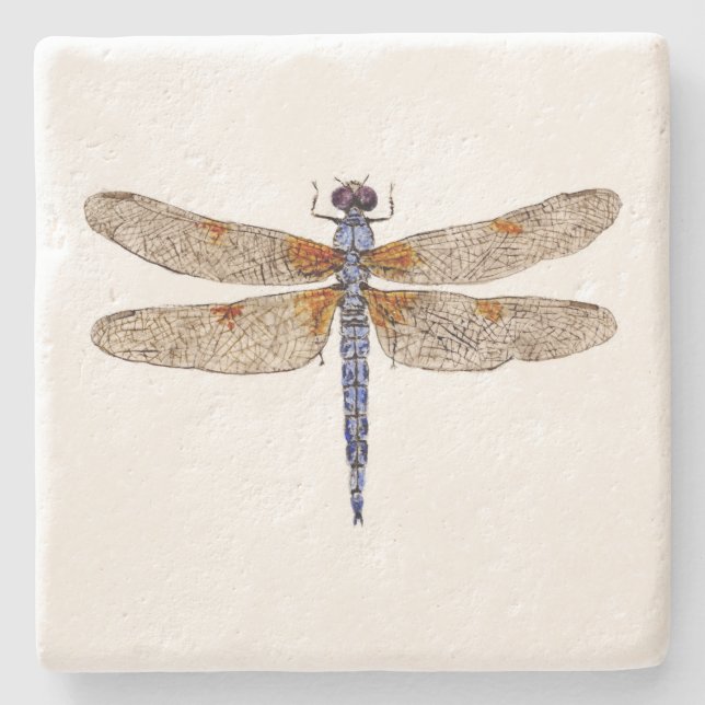 Bleached Skimmer Dragonfly Coaster (Front)