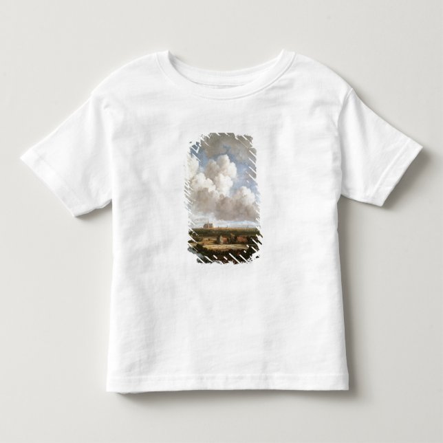 Bleaching Ground Toddler T-Shirt (Front)