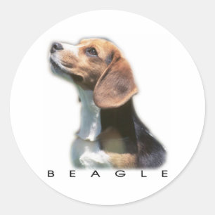 Bleagle Classic Round Sticker