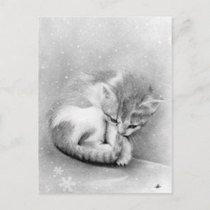 Bleak wintry Kitty Postcard