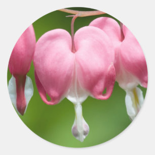 bleeders breather classic round sticker