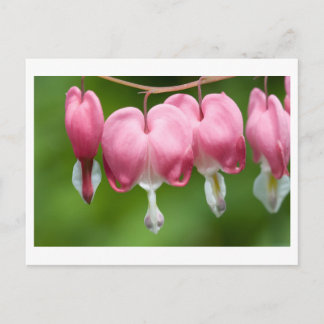 bleeders breather postcard