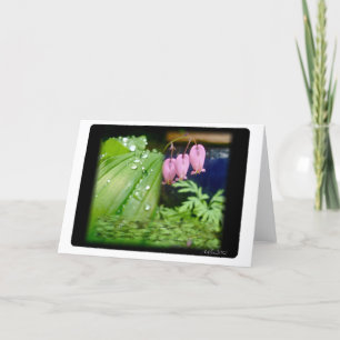 Bleeding Heart, Blank Card