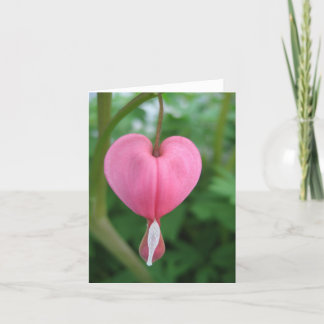 Bleeding Heart Card