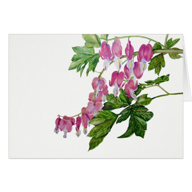 Bleeding Heart Card (7" X 5") with envelope (Front Horizontal)