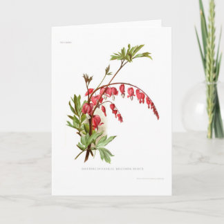 Bleeding Heart (Dicentra spectablis) Card