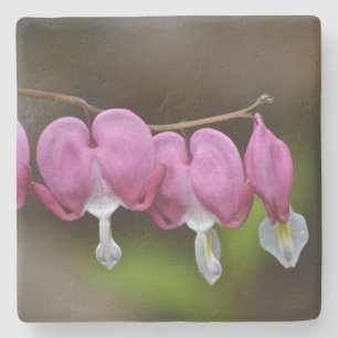 Bleeding Heart Floral Stone Coaster