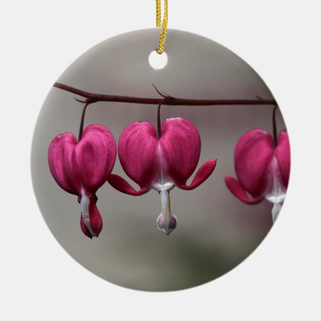 Bleeding Heart Flowers Ceramic Tree Decoration (Front)