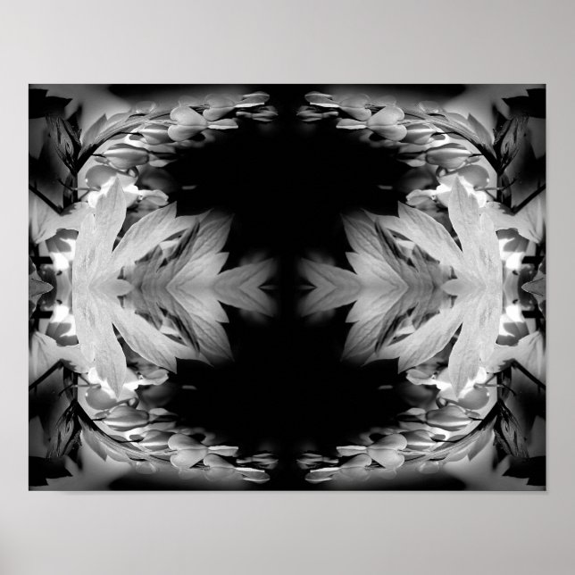 Bleeding Heart Flowers In Black And White Abstract Poster (Front)