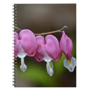 Bleeding Heart Notebook