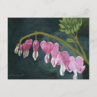 Bleeding Heart