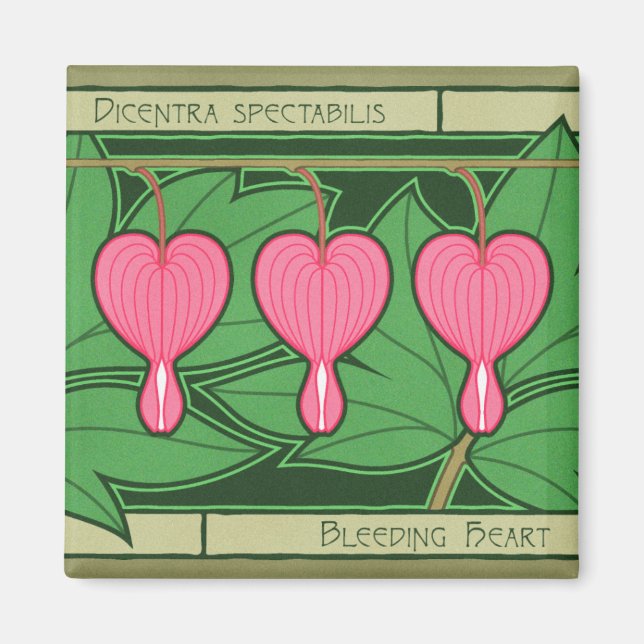 Bleeding Heart Square Magnet (Front)